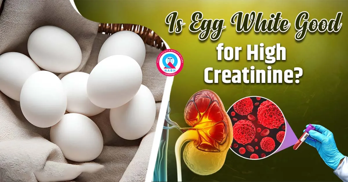 is-egg-white-good-for-high-creatinine